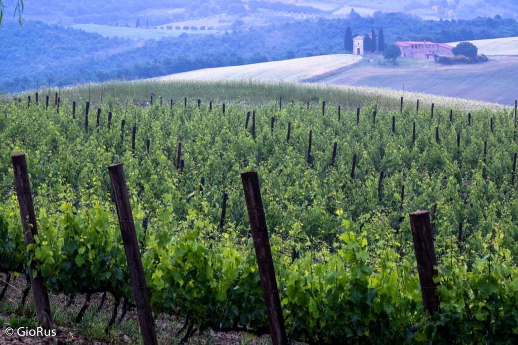 La Buca Di Bellugi San Quirico dʼOrcia