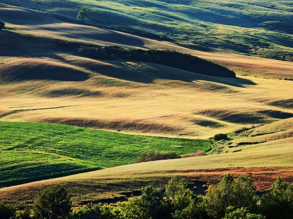 La Buca Di Bellugi Alojamento de Turismo Rural