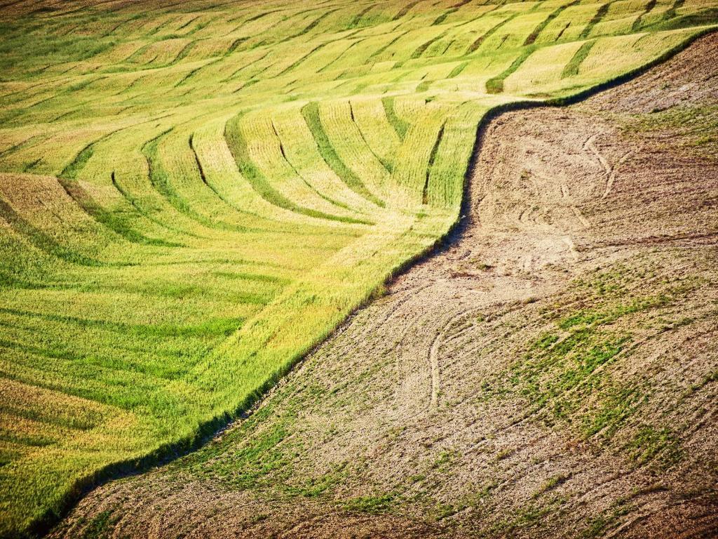 Alojamento de Turismo Rural La Buca Di Bellugi *