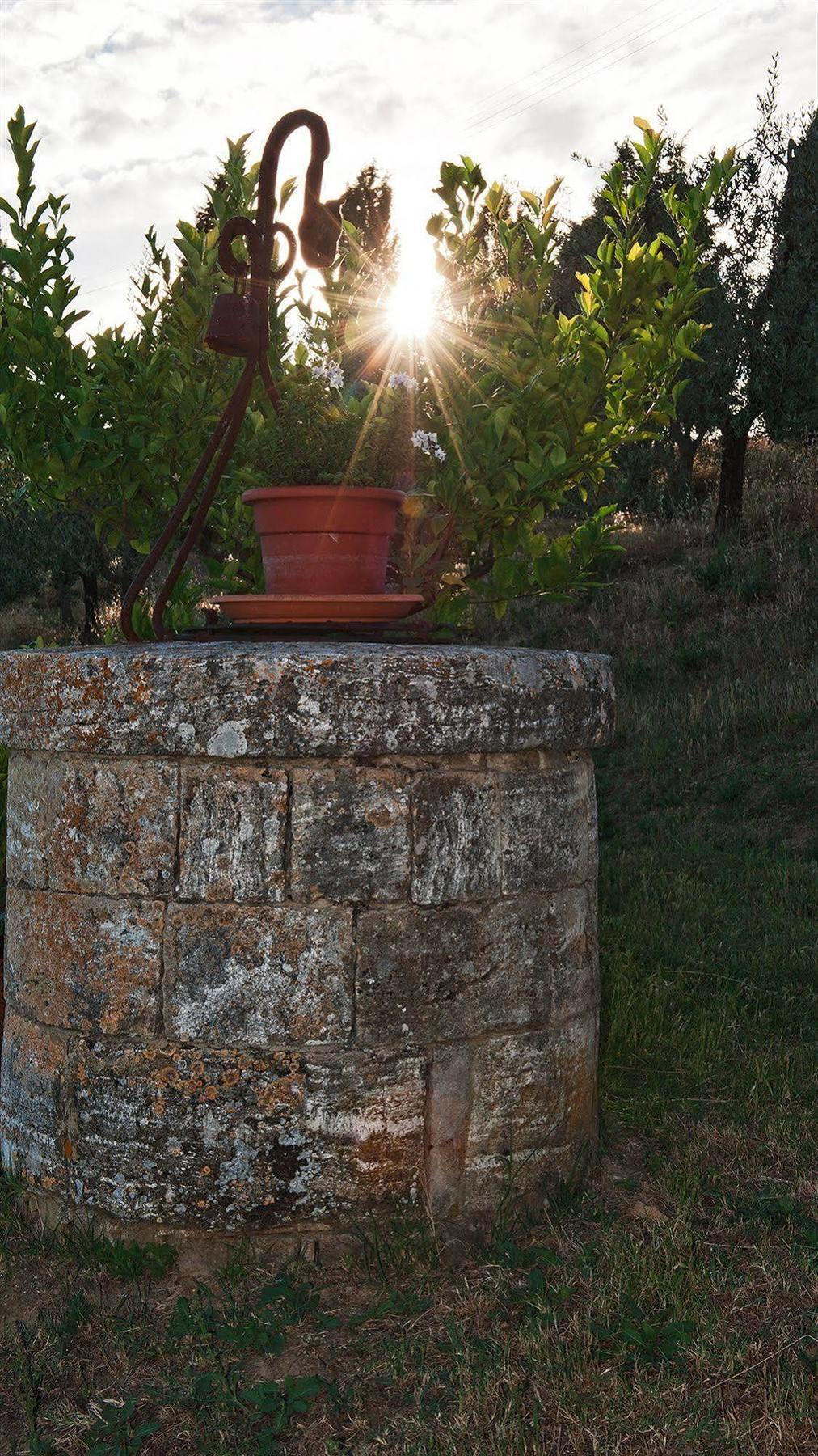 La Buca Di Bellugi San Quirico dʼOrcia
